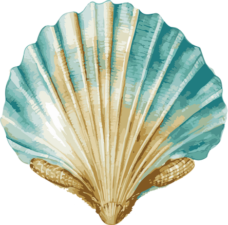 Seashell