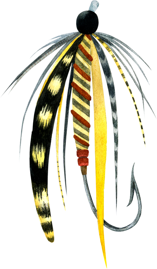 Fly fishing hook with feathers. Fishing lure by watercolor