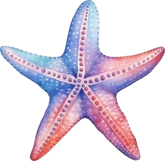 Starfish Watercolor Illustration