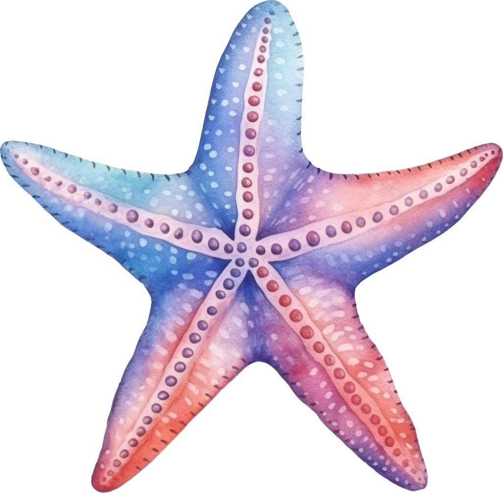 Starfish Watercolor Illustration