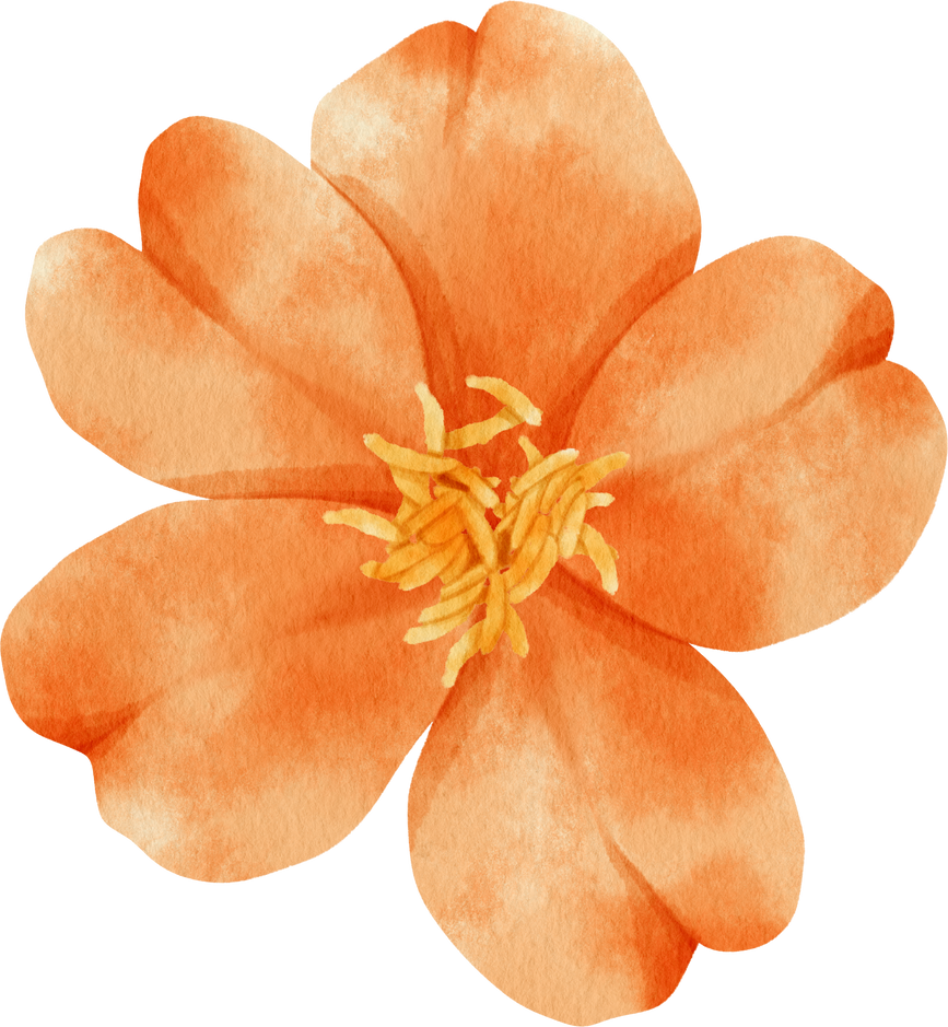 Orange flowers watercolor illustration